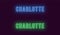 Neon name of Charlotte city in USA. Vector text