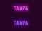 Neon name of Tampa city in USA. Vector text