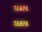 Neon name of Tampa city in USA. Vector text