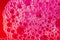 Neon pink bubbles. Close-up abstract graphic background image.