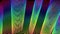 Neon rainbow curves, abstract video background, nightclub, disco, entertainment, party