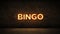 Neon Sign on Brick Wall background - Bingo . 3d rendering