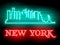 Neon silhouette of New York United States city skyline vector background. Neon style sign illustration. Illustration for t shirt