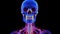 Neon skeleton on solid background. Generative AI