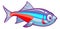 Neon tetra fish. Cartoon freshwater aquarium animal