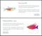 Neon Tetra Fish and Flasher Vector Illustration