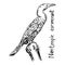 Neotropic cormorant - vector illustration sketch hand drawn with