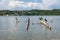 Neotropic Cormorants in a pier - Flores, Peten, Guatemala