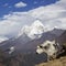 Nepal, the Himalayas, the Everest region. A shaggy Yak stands against a mountain landscape. Behind you can see mount AMA Dablam -