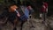 NEPAL - NOVEMBER 11, 2018: Mule Train Carrying Goods in the Himalayas in Nepal