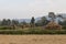 Nepalese peasants harvesting field in Pokhara, Nepal