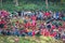 Nepalese people watching Lakhe Dance Festival in Kathmandu Nepal