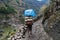 Nepalese Sherpa Hiking Mountain Trail Village .Young Man Climbing Loaded Bags Track Traveler Beautiful Noth Asia.Summer