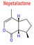 Nepetalactone catnip cat attractant molecule. Skeletal formula.