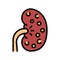 nephritis kidney color icon vector illustration