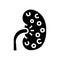 nephritis kidney glyph icon vector illustration