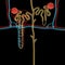 Nephron