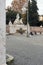 The Neptune Fountain in Piazza del Popolo, Rome Italy