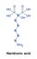 Neridronic acid is a bisphosphonate