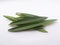 Nerium oleander leaves heap on white background