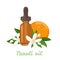 Neroli essential oil in amber glass dropper bottle isolated