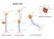 Nerve cell types and organelles