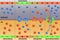 Nerve impulse action potential of neuron