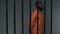 Nervous black prisoner waiting sentence in solitary cell, convicted criminal