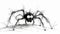 Nervous Spider: Ink Cartoon Arachnid