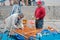 Nessebar, Bulgaria - September, 07, 2012: two elderly Bulgarian fishermen moored ashore to trade fish. On the pier feet buyers.