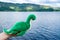 Nessie: Loch Ness Monster