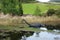 Nessie, Loch Ness Monster, Scotland, UK