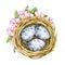 Nest and blue eggs in bloom. Top view. Basket with eggs. Watercolor illustration.