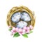 Nest and blue eggs in bloom. Top view. Basket with eggs. Watercolor illustration.