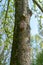 Nest box / Birdbox -  house for bird animal. Small wooden building on the  tree in the autumn and winter