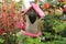 Nest box in pink between plants and flowers.