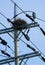 A nest built on a telephone pole under the blue sky.