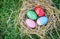Nest egg colorful decorated festive tradition easter eggs on green grass
