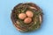 Nest within eggs