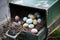 nest with eggs carefully placed in a vintage mailbox