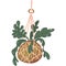A nest fern hanging kokedama vector illustration