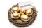 Nest with golden eggs with a tag and a word of investments on a white background. The concept of successful retirement