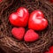 Nest with hearts