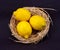 Nest of Lemons