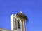 Nest stork in top of a bell tower