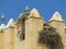 Nest Storks quarter jewish, Meknes, Morocco