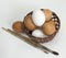 Nest with white and brown chicken eggs and quail eggs, willow branches