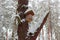 Nesting box on pine trunk in winter forest after snowfall