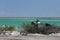 Nesting frigatebirds in Kiritimati Lagoon