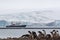 A nesting gentoo penguin Pygoscelis papua colony with a tourist shipand glacier in the background , Antarctica